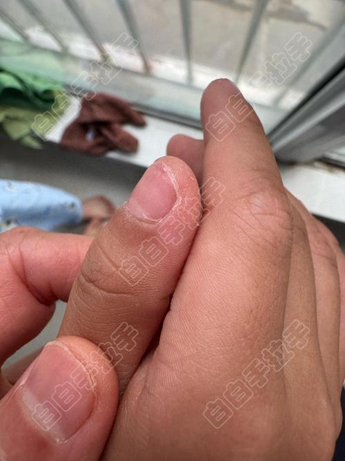 ������缸�������˽�һ�°���Ĳ���