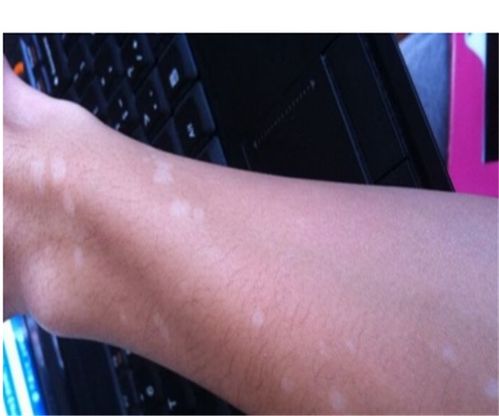 ������־���ݵĵ��Ӿ�