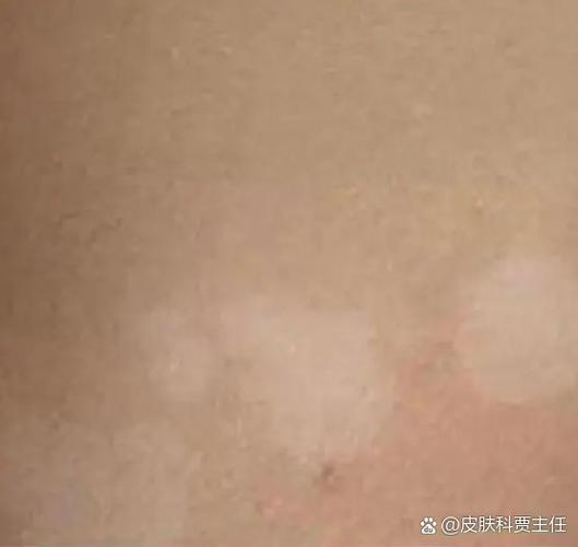 释小龙简介释小龙全家福照片 释小龙简介释小龙全家福照片