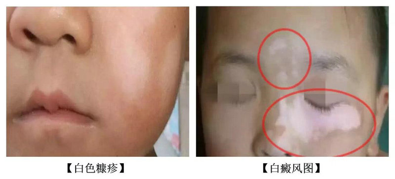 发现北洋军覆灭记 发现北洋军覆灭记