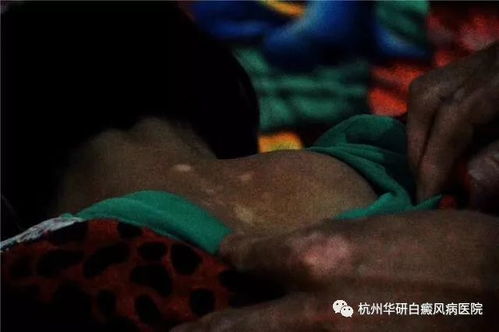 ��ׯ����κ�� ��ׯ����κ������మ��