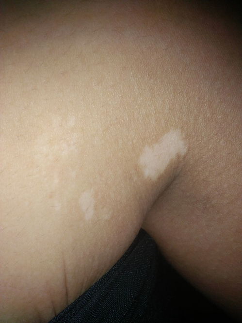 ��ѽ���������ż