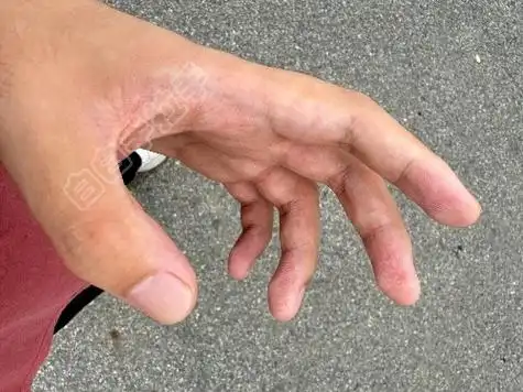 �������ڵ���������