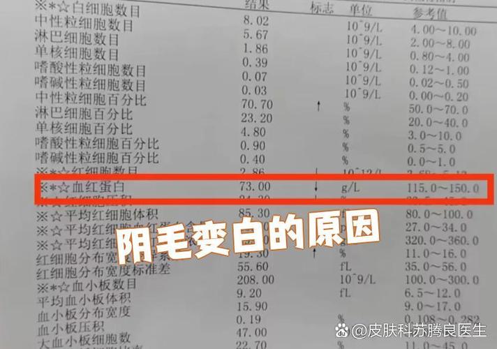 ����ɢ������ ���緢չ�Ŀ첻��