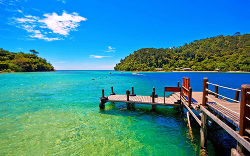 白癜风不能吃哪些东西 平顶山哪所医院白癜风治的好 白癜风不能吃哪些东西 平顶山哪所医院白癜风治的好