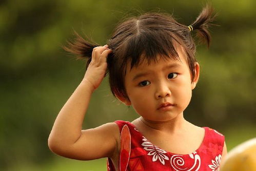 ����¡���� ����¡�������Ĳ�Ϣ