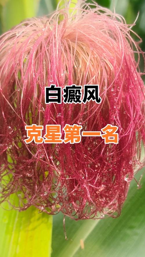 ���Ԥ�������̵������ճ���Ϊ�ܹ�Ԥ������