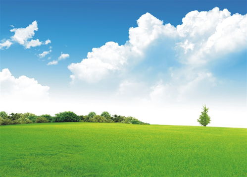 ��ͷ�ļ�ҽԺ���ư���� �����ɫ����ֲ�����������