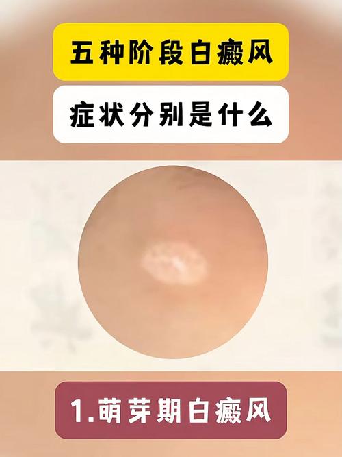 爸爸去那哪儿 爸爸去哪儿 地方 爸爸去那哪儿 爸爸去哪儿 地方