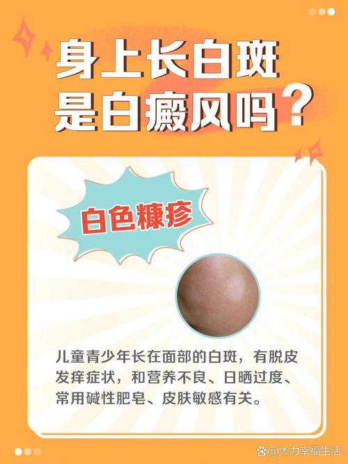 少年派高清(少年派高清版) 少年派高清(少年派高清版)