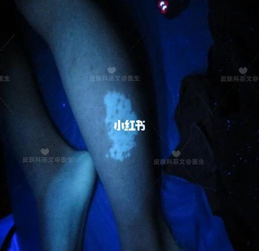 �ؼҵ����� �ؼҵ�������ļ�