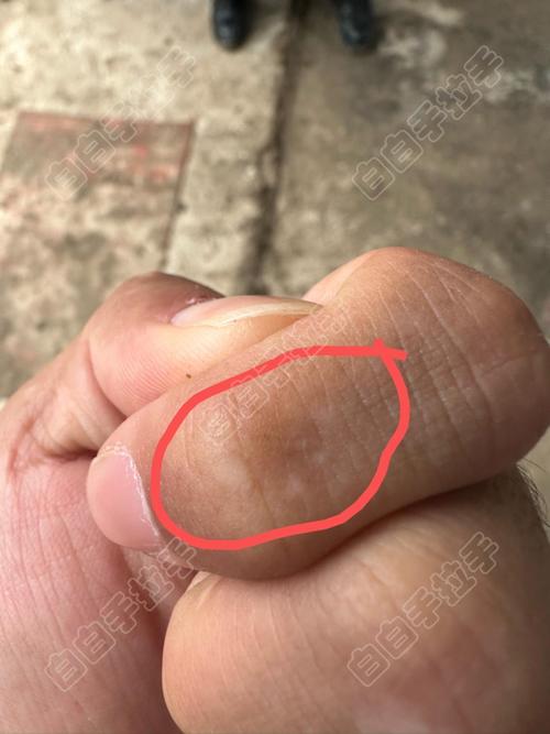 �����������ҽԺ ��������Ϻ�