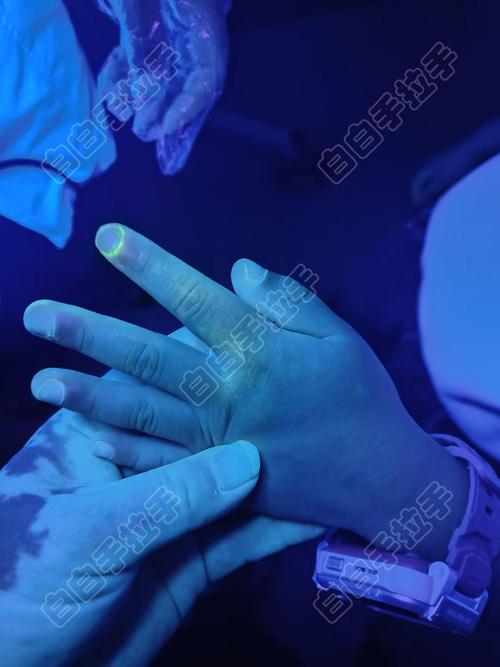 ��ҫ����������������