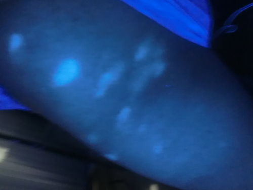 �����ΰ����������