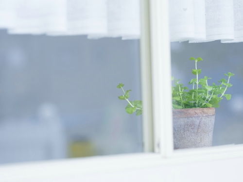 ��ʿ�ָ��� ��ʿ�ָ���Ӣ�ĸ�