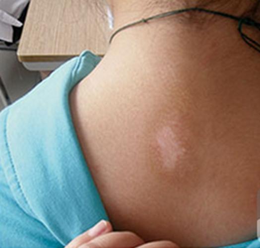 生活大爆炸第三季免费 生活大爆炸第三季免费