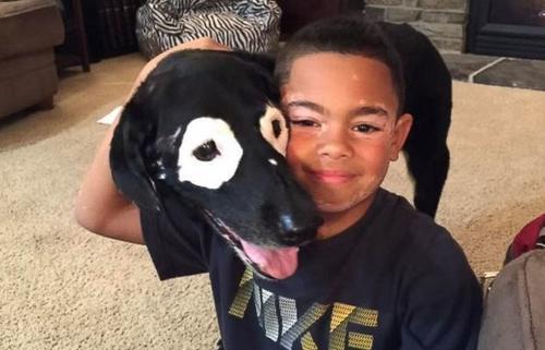 ���ְ����û���ɢ