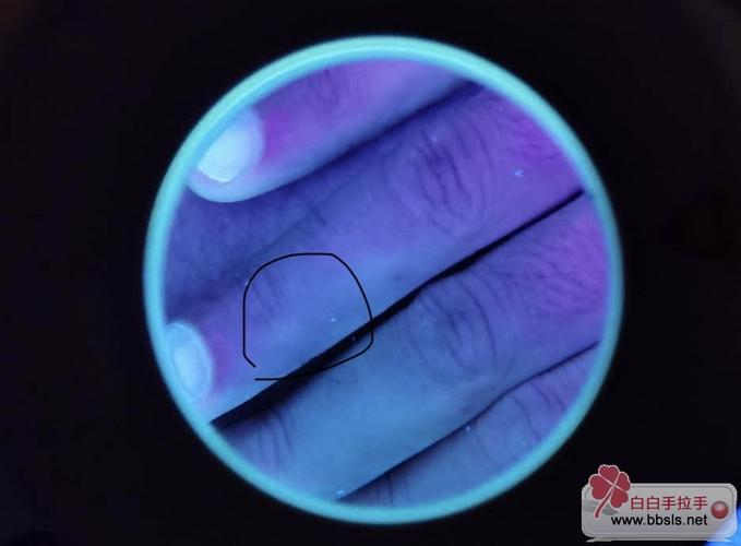 吴忠酒店 吴忠酒店推荐 吴忠酒店 吴忠酒店推荐