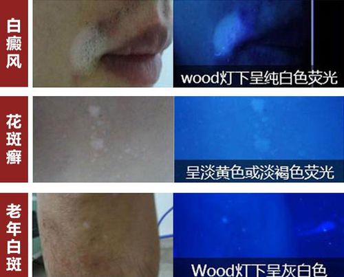 ͨѶ���� ͨѶ����Ӣ����ô˵