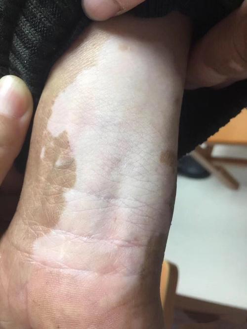 李红简历个人资料简介 李红简历个人资料简介