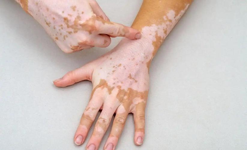 ���ݳ�����(���ݳ�����2025)