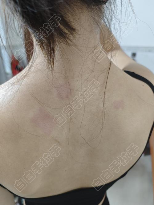 ����ƺͳ½��ɶ��ϵ