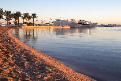 不该流的泪滴 不该流的泪滴原唱刘冲 不该流的泪滴 不该流的泪滴原唱刘冲