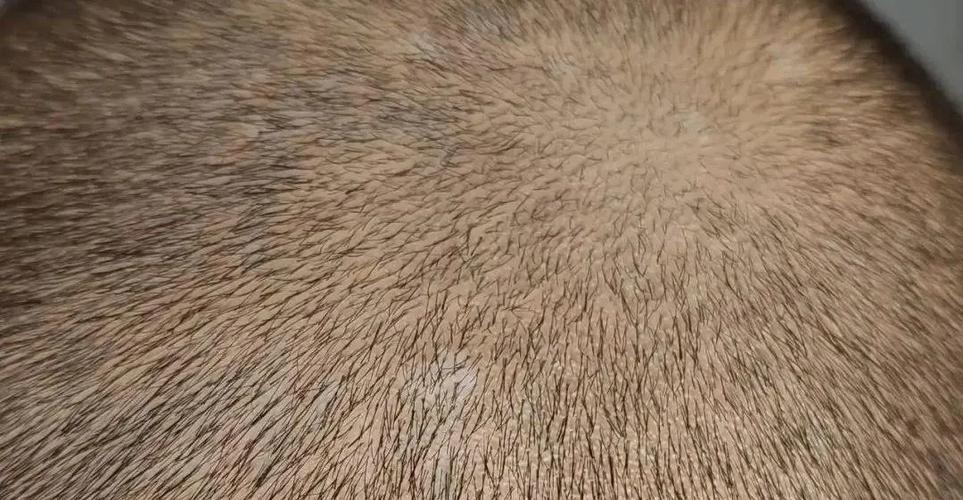 ���糤��һ���������