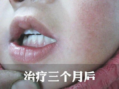 ���ϳ��������Ʒ���