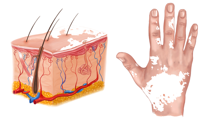 �����ļ����ư���ҽԺ�� ����ע������