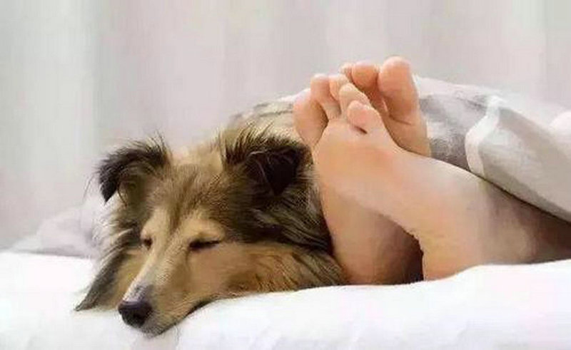 �������Ʒ���С��