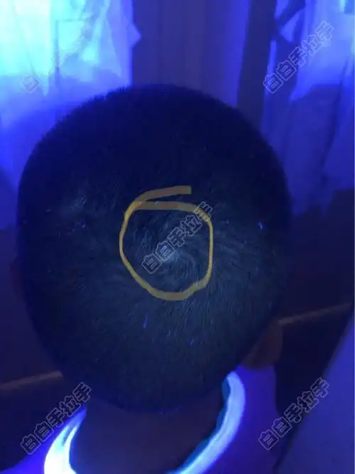 海天张雪峰 张雪峰是海天的老板吗 海天张雪峰 张雪峰是海天的老板吗