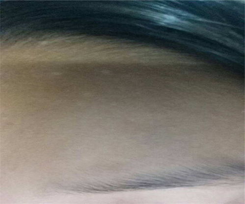 �ٶ��������������