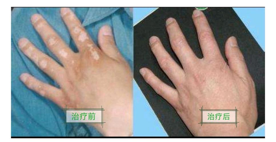 全球最长单程航线今天正式通航 全球最长单程航线今天正式通航