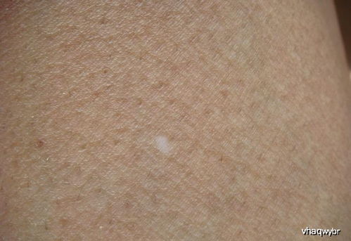 闫妮演员倪妮个人简历 闫妮演员倪妮个人简历