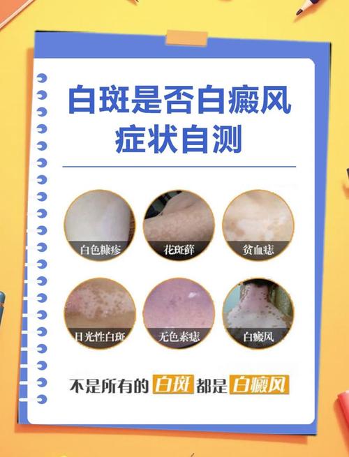 ����������Լ�� ������������