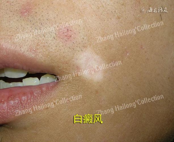 湄公河大案 湄公河大案演员表 湄公河大案 湄公河大案演员表