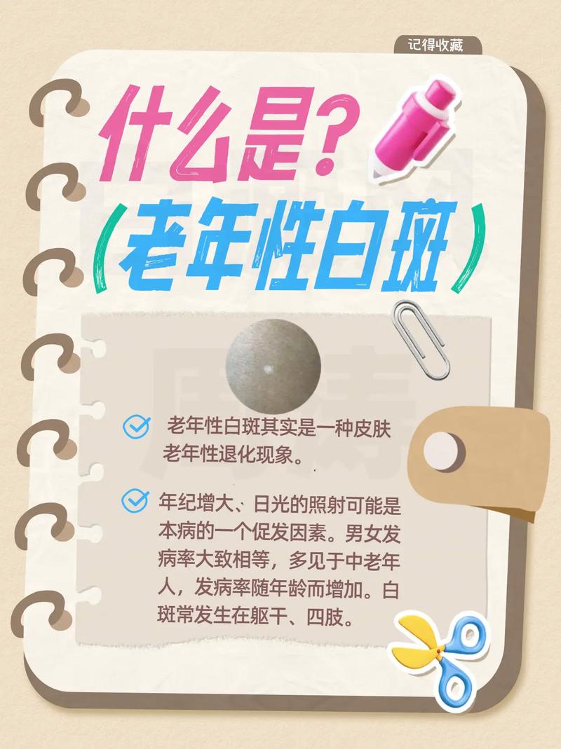 ��������ղ����� ������ڰײ���