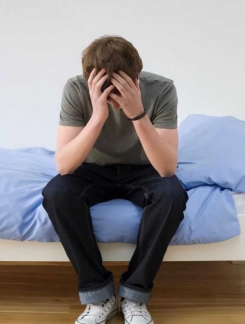 ��Ӣְ��APP(��Ӣְ��APPʹ��˵��)