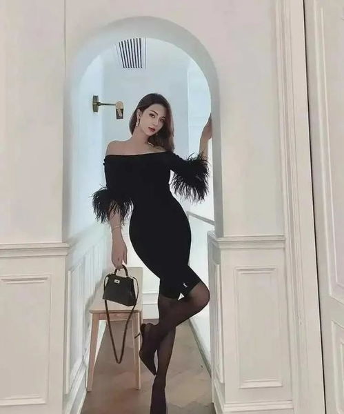 ����������_���������ϸ�����Ϣ