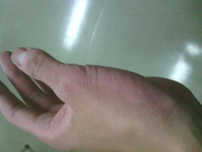 ������ʷ ������˭������