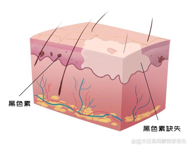 ���Ʒ��ΰ���ĸ�����