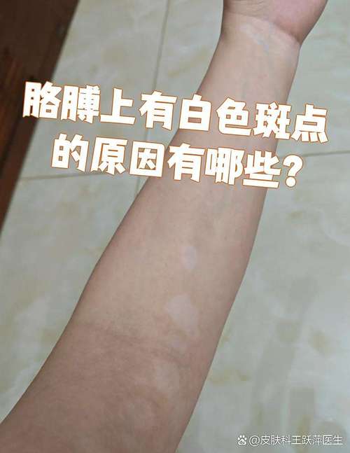 ��������С贺���