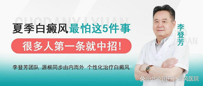 仲夏满天星 仲夏满天星简介 仲夏满天星 仲夏满天星简介