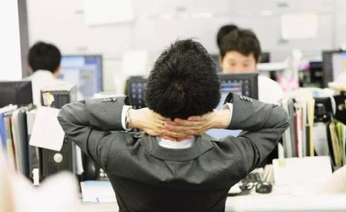 �������� ���뿴������������