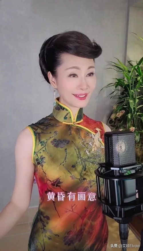 �м����г� �м����г��к�����