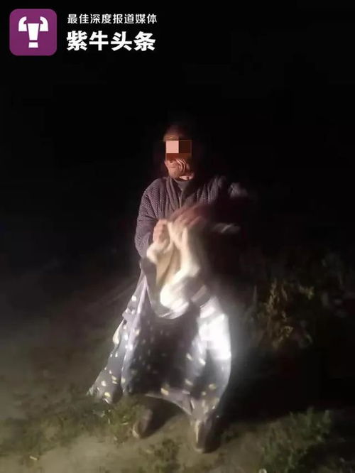 芈月传奇电视剧演员表 芈月传奇电视剧演员表