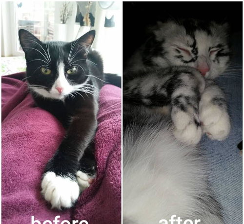 ��������� ����������