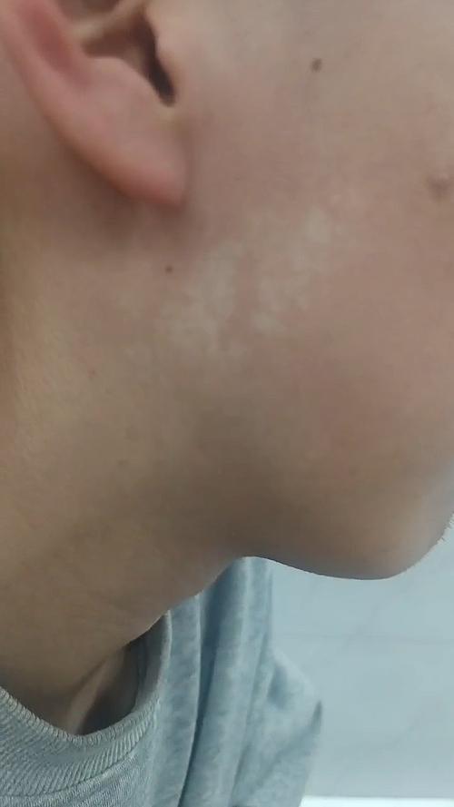 《长安二十四计》御龙岭上的神秘人 真实身份居然是敌国的皇帝 《长安二十四计》御龙岭上的神秘人 真实身份居然是敌国的皇帝