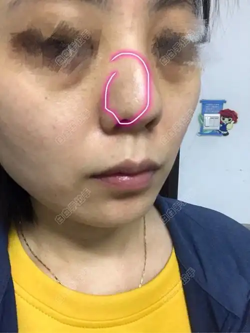 谁是百兽之王(谁是百兽之王打一生肖) 谁是百兽之王(谁是百兽之王打一生肖)